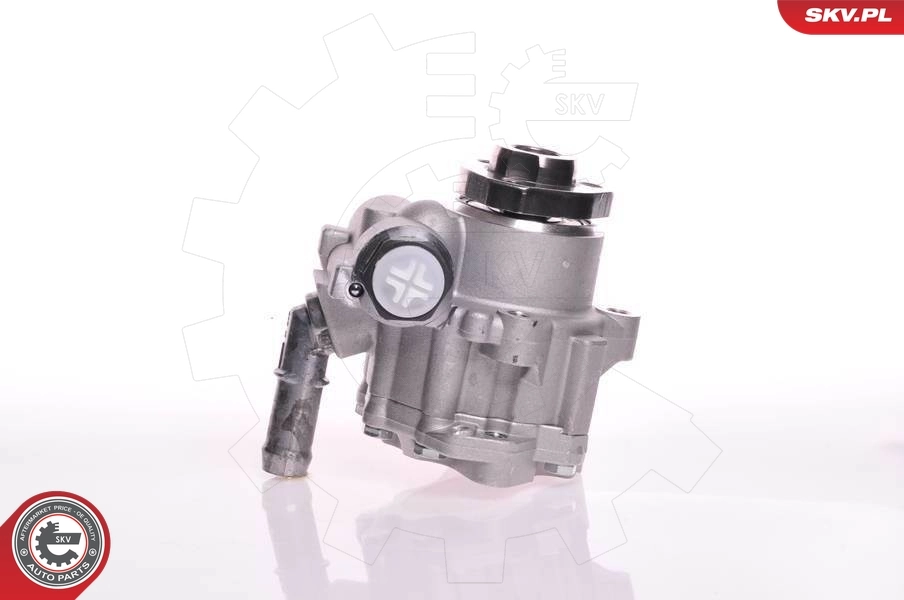 Hydraulic Pump, steering